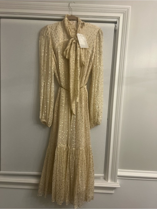 Zimmermann Dresses & Skirts - Elegant Cream Long-Sleeve Tie-Neck Maxi Dress with a gold belt
